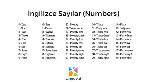 Birden yüze kadar ingilizce ve türkçe sayılar