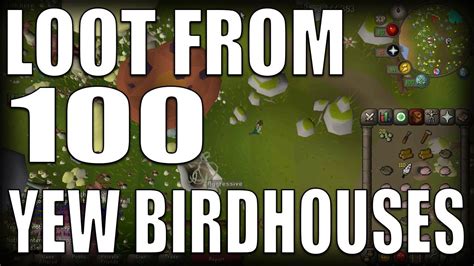 Birdhouse seeds osrs. Things To Know About Birdhouse seeds osrs. 