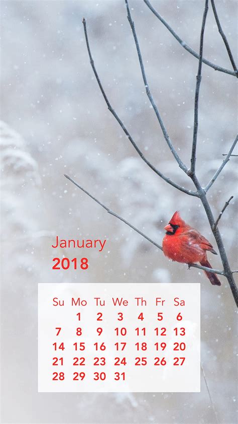 Birdie Calendar