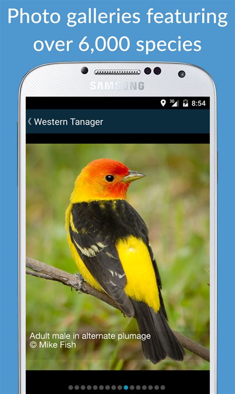 BirdieEyes APK Download for Android 