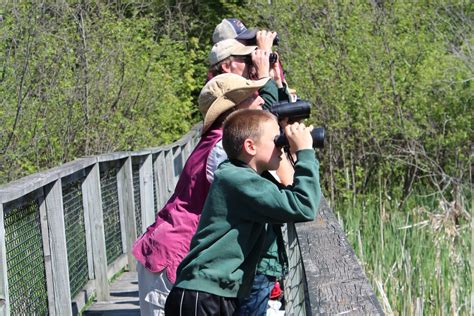 Birding Field Trips & Bird Watching Lake Cook County Illinois …