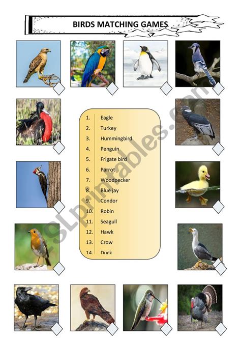 Birds Matching game Game - Play online at Y8.com