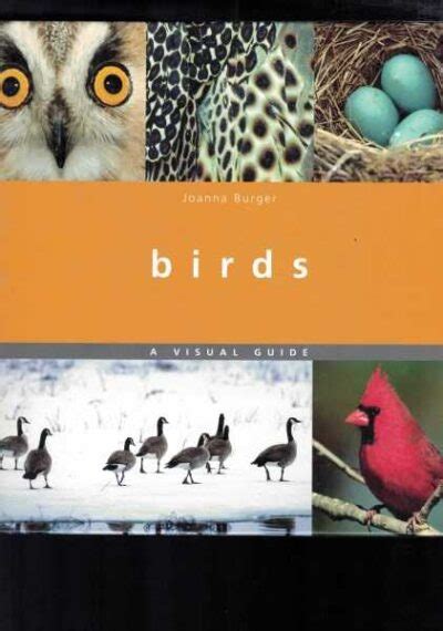 Birds a visual guide visual guides. - Lebe dein bestes leben von laura berman fortgang.
