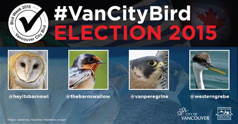 Birds in our city City of Vancouver