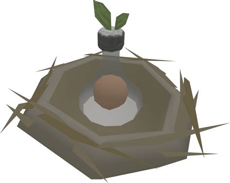 The item was made tradeable on the Trading Post / Grand Exchange. An "Eat" option was added. Raw bird meat can be obtained from Hunter birds and bird houses. It can be skewered with an iron spit to make skewered bird meat, which can then be cooked to make roast bird meat, requiring 11 Cooking and 20 Firemaking, granting 62 Cooking experience.