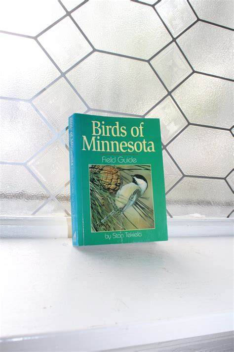 Birds of Minnesota Field Guide - Apple Books