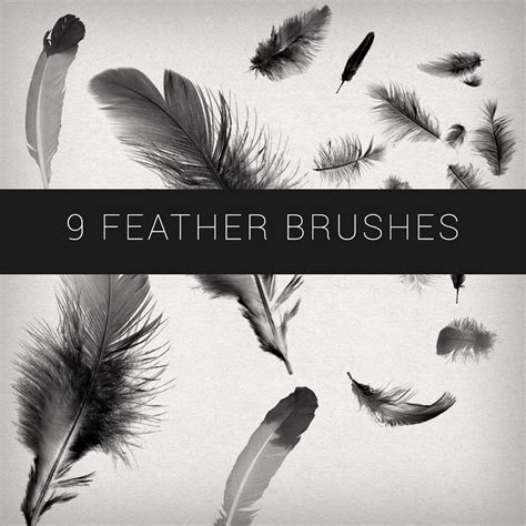 Birds of a Feather - Free Photoshop Brushes at …