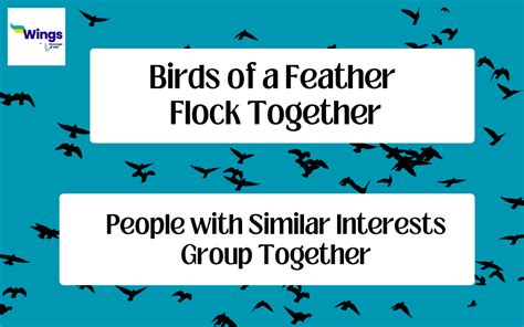 Birds of a Feather - Wikiquote