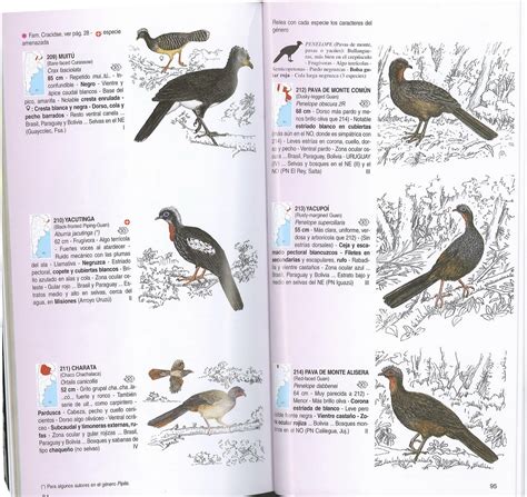 Birds of argentina uruguay a field guide guia para la identificacion de las aves de argentina uruguay. - Manual de servicio de fluke 96b.