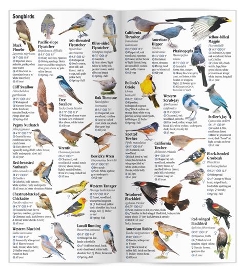 Birds of central northern california a guide to common notable species common and notable species. - Discours d'anacharsis-cloots, orateur du genre humain.