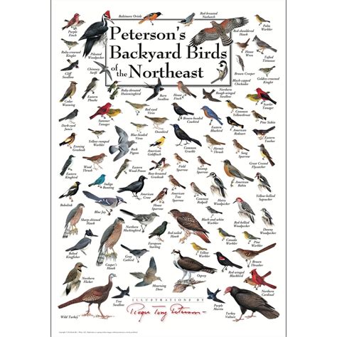 Birds of detroit u s city bird guides. - Pennestrijd over staat en historie. opstellen over de vaderlandse geschiedenis aangevuld met geyl's levensverhaal (tot 1945)..