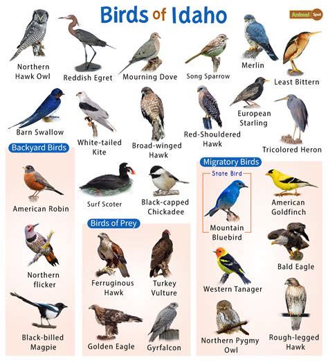Birds of idaho a guide to common notable species. - Exotic plant manual fascinating plants to live with.