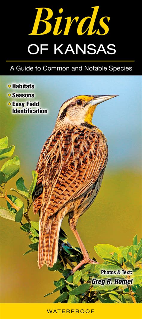 The Guide to Kansas Birds and Birding Hot Spots. 