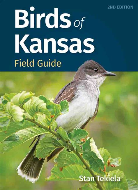 Birds of kansas field guide. It not only significantly updates the previous two-volume field guide Birds in Kansas but also reflects a more than 10% increase in known species--47 more than previously listed, including the Long-billed Murrelet, Ross's Gull, and Broad-billed Hummingbird. 