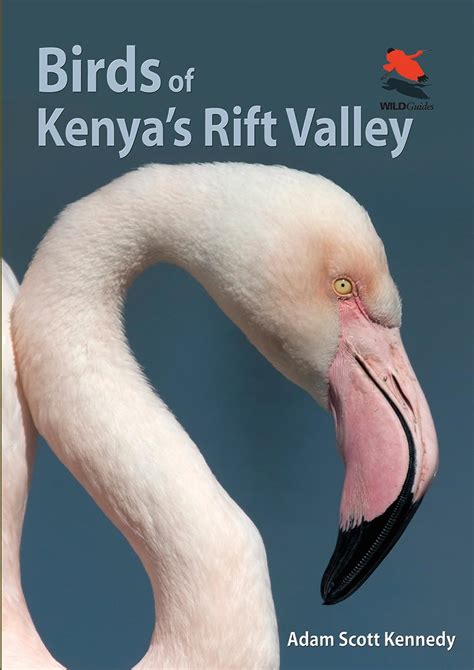 Birds of kenya s rift valley wildguides. - Node js practical guide for beginners programming is easy book 12.