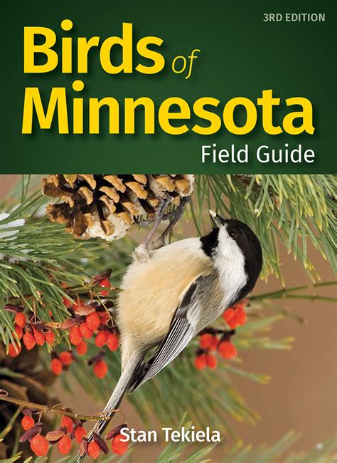 Birds of minnesota field guide and audio cd set. - Teaching guide to the ancient roman world.