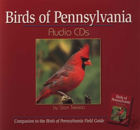 Birds of pennsylvania audio cds companion to birds of pennsylvania field guide. - Investeren in mensen en economisch rendement.