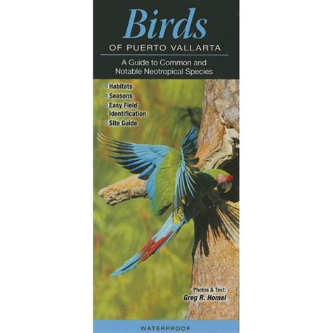 Birds of puerto vallarta a guide to common and notable neotropical species. - Ökonomische aspekte der staatsdefizite und staatsverschuldung in der schweiz.