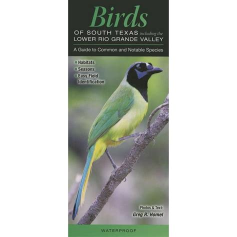 Birds of south texas incl the lower rio grande valley a guide to common notable species quick reference guides. - 9th grade holt grammer handbook answer.