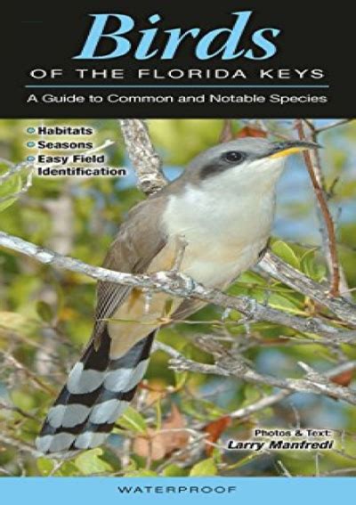 Birds of southeast florida a guide to common and notable species. - Optical networking best practices handbook optical networking best practices handbook.