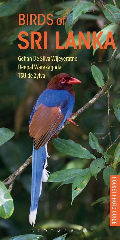 Birds of sri lanka pocket photo guides. - Educational psychology casework a practical guide.