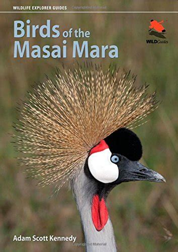 Birds of the masai mara wildguides. - Pioneer sx 850 receiver owners manual.
