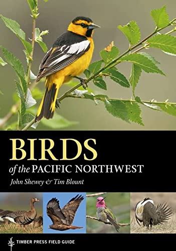 Birds of the pacific northwest a timber press field guide. - Ingersoll rand air compressor dd2t2 owners manual.