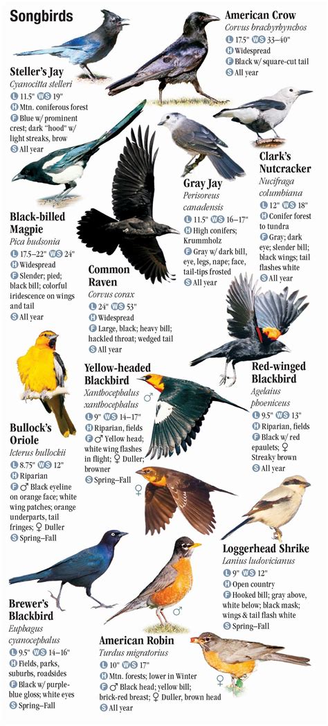 Birds of yellowstone grand teton national parks a guide to common notable species. - Potencjał badawczo-rozwojowy polski w latach 1975-2000.