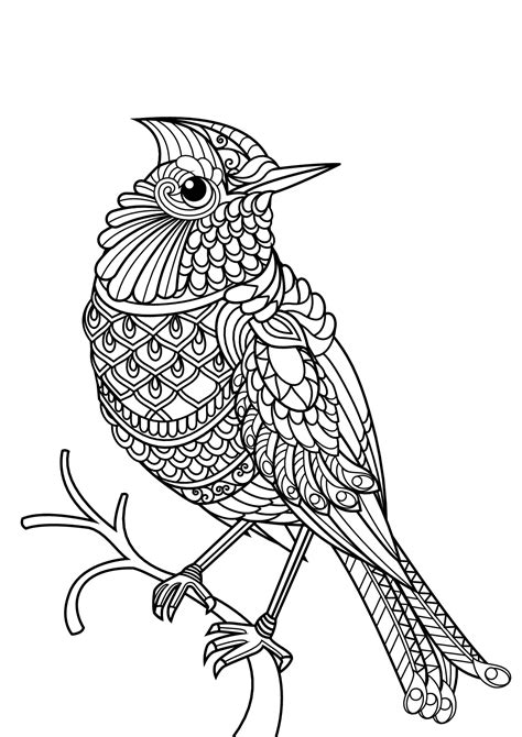 Full Download Birds Adult Coloring Book A Bird Lovers Coloring Book With 50 Gorgeous Bird Designs Bird Coloring Books By Alisa Calder
