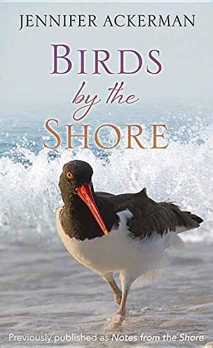Full Download Birds By The Shore Observing The Natural Life Of The Atlantic Coast By Jennifer Ackerman