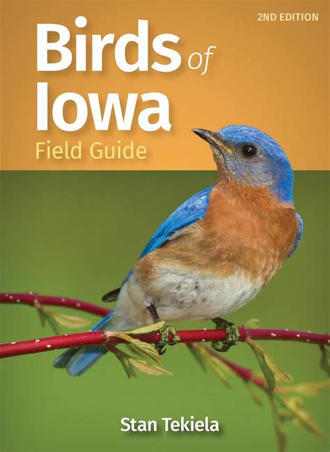 Full Download Birds Of Iowa Field Guide By Stan Tekiela