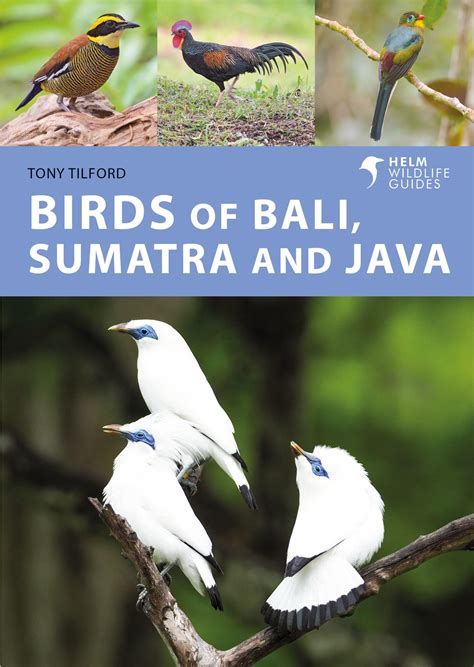 Download Birds Of Java Sumatra And Bali By Tony Tilford
