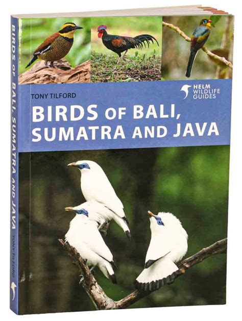 Download Birds Of Java Sumatra And Bali By Tony Tilford