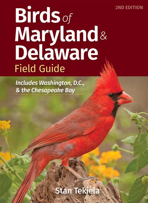 Full Download Birds Of Maryland  Delaware Field Guide By Stan Tekiela