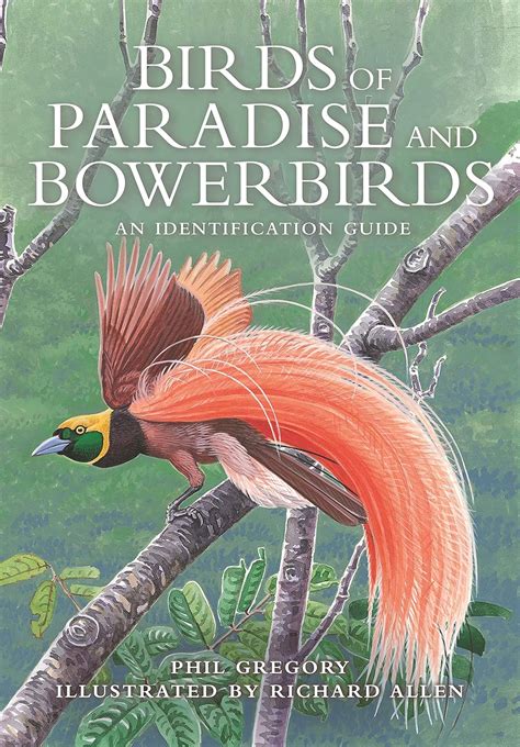 Read Online Birds Of Paradise And Bowerbirds An Identification Guide By Phil Gregory