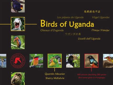 Download Birds Of Uganda By Quentin Meunier