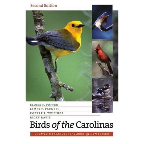 Download Birds Of The Carolinas By Eloise F Potter