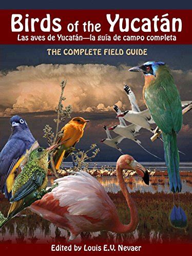 Full Download Birds Of The Yucatn  Las Aves De Yucatn The Complete Field Guide  La Gua De Campo Completa By Louis Nevaer