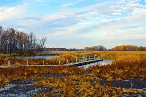 Birdwatching at Horicon National Wildlife Refuge This Spring