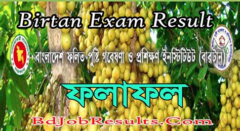 Birtan Halı ve Koltuk Yıkama