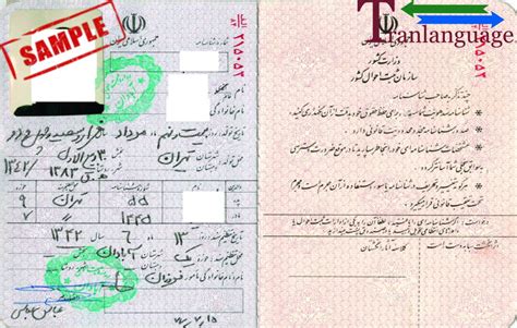 Birth Certificate Translation from Punjabi to English PEC