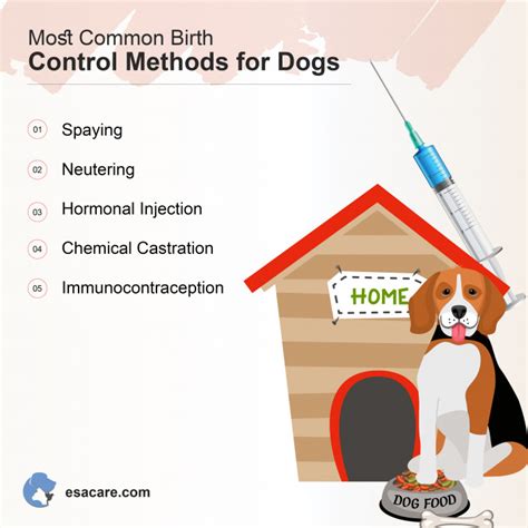 Birth Control For Dogs: Dog Contraceptive Injection, …