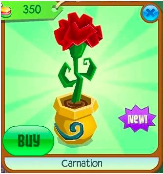 Birth Flowers Collection Animal Jam Item Worth Wiki