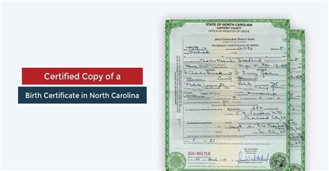 Birth certificate greenville nc.  birth certificate.  The process depends on whether you ...