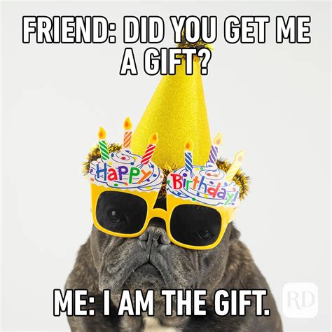 Birthday memes funny friend. Explore GIFs. GIPHY is the platform that animates your world. Find the GIFs, Clips, and Stickers that make your conversations more positive, more expressive, and more you. 