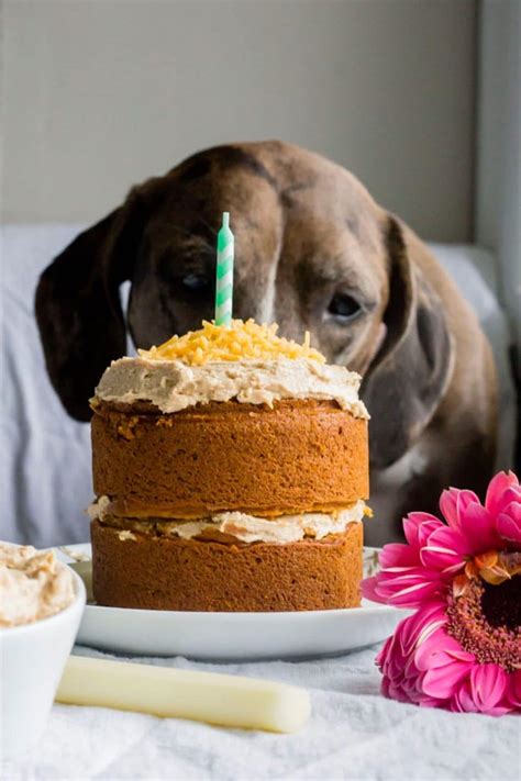 Birthday treats for dogs. Cake. Preheat the oven to 350° and spray two 6-inch cake pans with non-stick spray. In a small bowl, whisk together the flour and baking soda. In a large bowl combine the vegetable oil, peanut butter, applesauce, pumpkin puree, carrots, milk, and egg. Add the dry ingredients to the wet ingredients and mix until combined. 