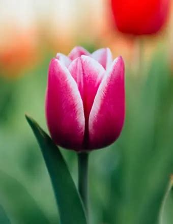 Birzer sillin funeral home sterling obituaries. .  <a href=https://www.onestopbmp.com/assets/ima...