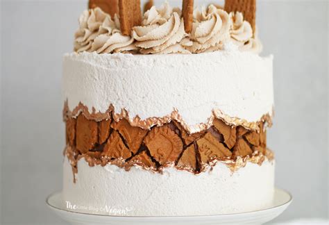 Biscoff fault line cake recipe - Pinterest