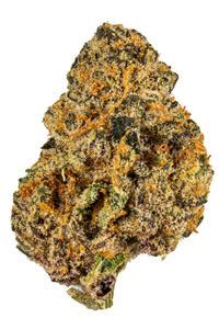Biscotti pop strain. THC: 30% - 35%. Number 33, also known as “#33” or “Scottie Pippen,” is an indica dominant hybrid strain (70% indica/30% sativa) created through crossing the delicious Biscotti X Lemon Cherry Gelato strains. A tasty bud with an even more delicious high, Number 33 is one hybrid that you'll find yourself reaching for again and again. 