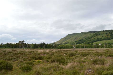 Bishop Hill - Fife Coast & Countryside Trust